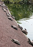 Punggol Point Park