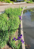 Garfield Park Conservatory