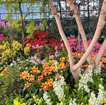 Garfield Park Conservatory