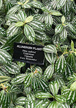 Garfield Park Conservatory