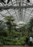 Garfield Park Conservatory