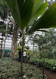 Garfield Park Conservatory