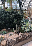 Garfield Park Conservatory