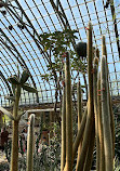 Garfield Park Conservatory