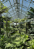 Garfield Park Conservatory