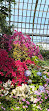 Garfield Park Conservatory