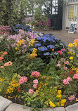 Garfield Park Conservatory