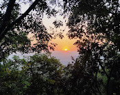 Ramnagar Wildlife Sanctuary