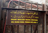 Razia Sultan Tomb