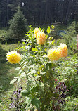 Children Park Patnitop