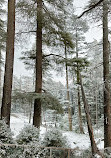 Children Park Patnitop