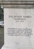 Vilmos Zsigmondy monument