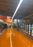 Loblaws The East Mall