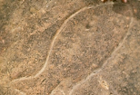 Grotto Point Aboriginal Rock Engravings