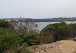 Grotto Point Aboriginal Rock Engravings