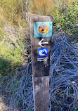 Grotto Point Aboriginal Rock Engravings