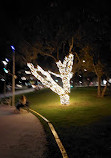 Bondi Beach Park