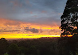 Terry Road Lookout