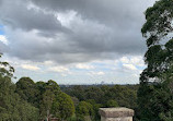 Terry Road Lookout