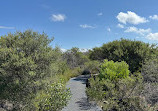 Western Escarpment walking track