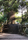 Bradleys Head to Chowder Bay walk