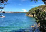 Bradleys Head to Chowder Bay walk