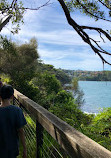 Bradleys Head to Chowder Bay walk