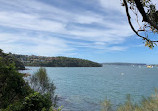 Bradleys Head to Chowder Bay walk