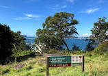 Bradleys Head to Chowder Bay walk