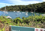 Bradleys Head to Chowder Bay walk