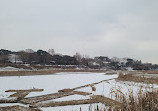 Mongchontoseong Fortress