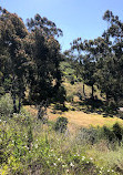 Kenneth Hahn Lower Park