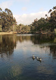 Kenneth Hahn Lower Park