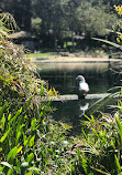 Kenneth Hahn Lower Park