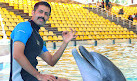 Kish Dolphin Park