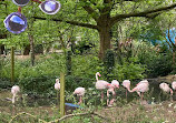 باغ وحش لندن