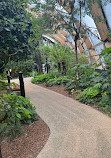 Crossrail Place Roof Garden