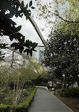 Crossrail Place Roof Garden