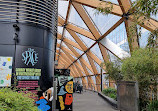 Crossrail Place Roof Garden