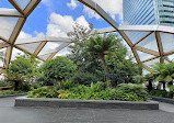 Crossrail Place Roof Garden