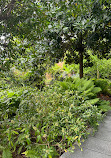 Crossrail Place Roof Garden