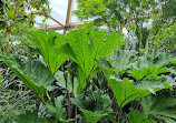 Crossrail Place Roof Garden