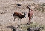 Paris Zoological Park