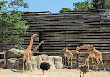 Paris Zoological Park