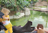 Paris Zoological Park