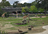 Paris Zoological Park