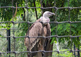 Paris Zoological Park