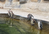 Paris Zoological Park