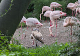 Paris Zoological Park