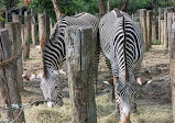 Paris Zoological Park